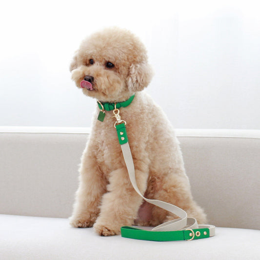 ※予約販売【maison de miu】 Running Mate Leather & Webbing Lead（Green）