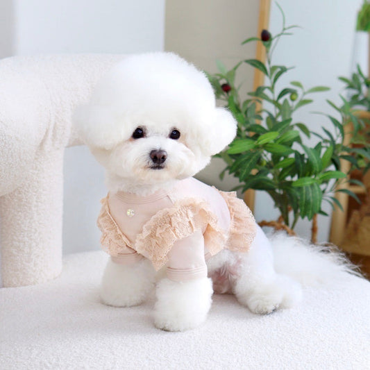 ※予約販売【GET BACK】Get heat crop T-shirt(Cream Beige)