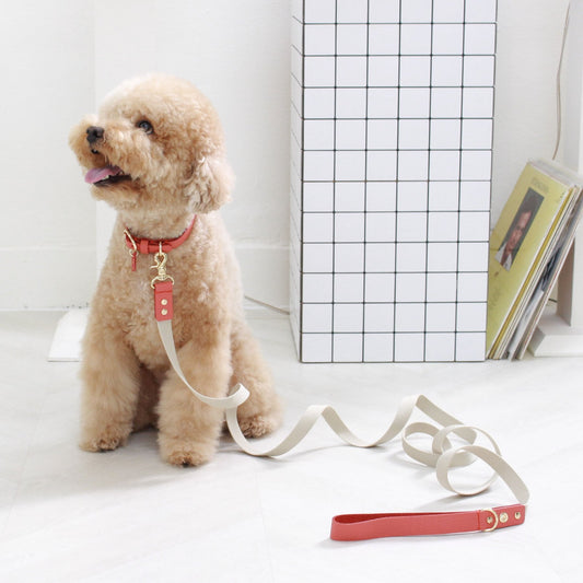 ※予約販売【maison de miu】 Running Mate Leather & Webbing Lead（Coral）