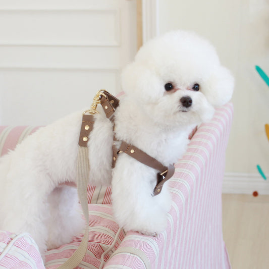 ※予約販売【maison de miu】 Running Mate Harness（Brown）