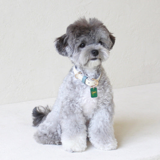 ※予約販売【maison de miu】Pet Collar (White / Indian Blue)