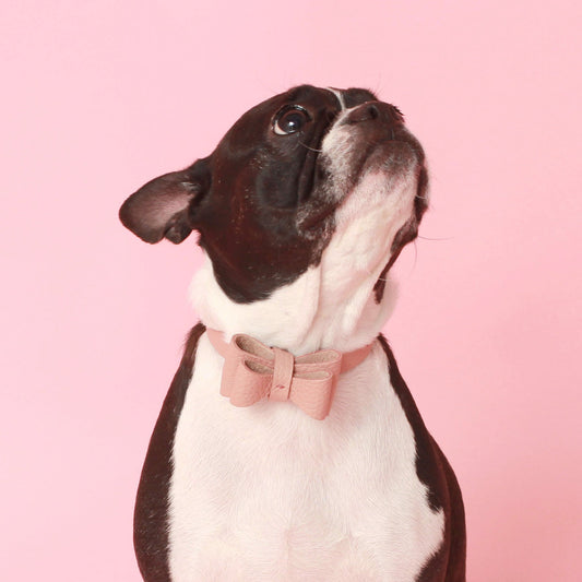 ※予約販売【maison de miu】Soft Ribbon Collar  (Rose Pink)