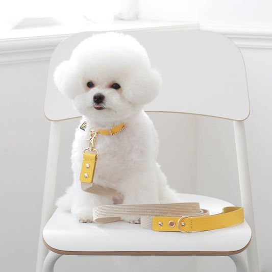 ※予約販売【maison de miu】 Running Mate Leather & Webbing Lead（Yellow / Ivory）