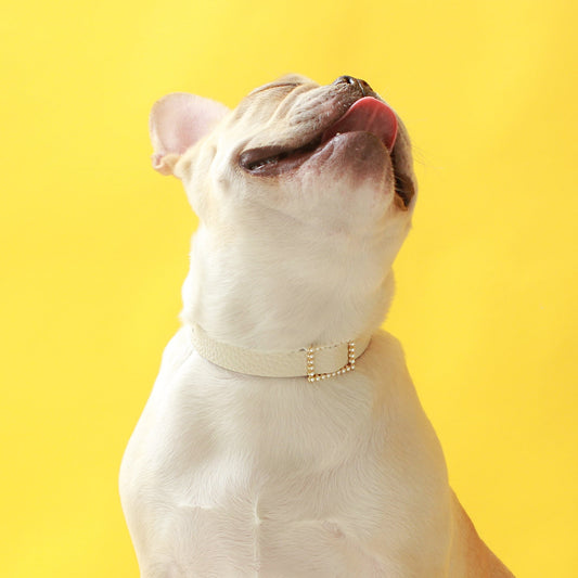 ※予約販売【maison de miu】Square Pearl Collar（White）