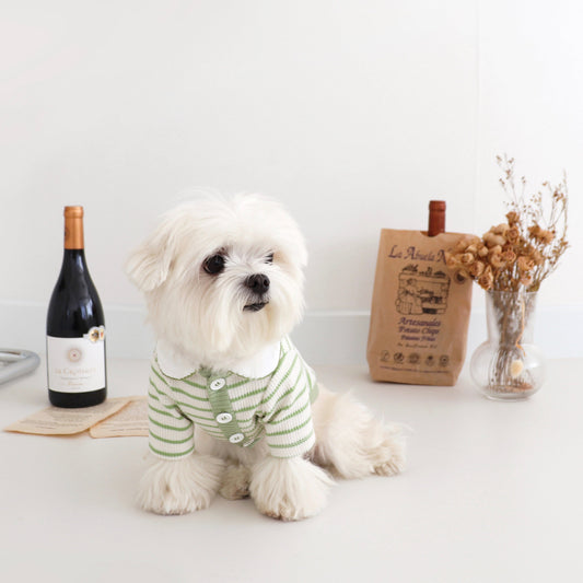 即納【DURANG RURANG】MACARON COLLAR CARDIGAN（GREEN）