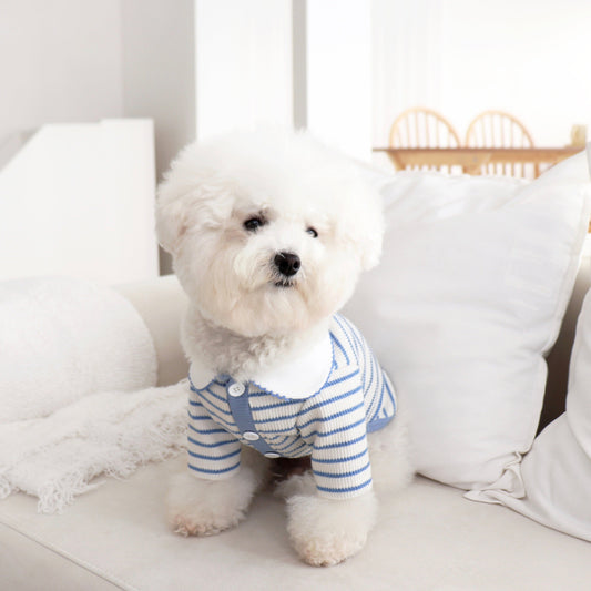 ※予約販売【DURANG RURANG】MACARON COLLAR CARDIGAN（BLUE）