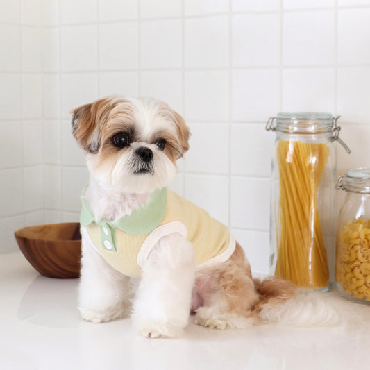 ※予約販売【DURANG RURANG】Pastel collar sleeveless(Yellow)