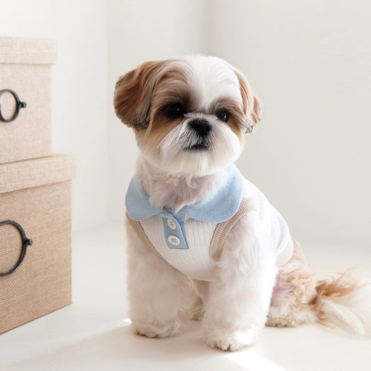 ※予約販売【DURANG RURANG】Pastel collar sleeveless(Blue Beige)