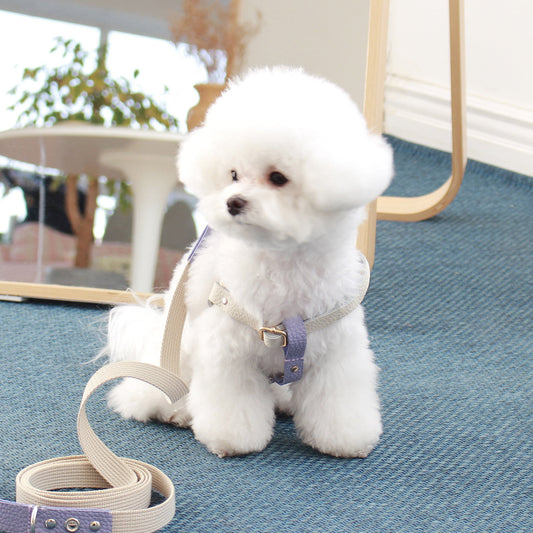 ※予約販売【maison de miu】 Running Mate Harness（White / Violet）