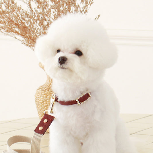 ※予約販売【maison de miu】Square Pearl Collar（Wine）