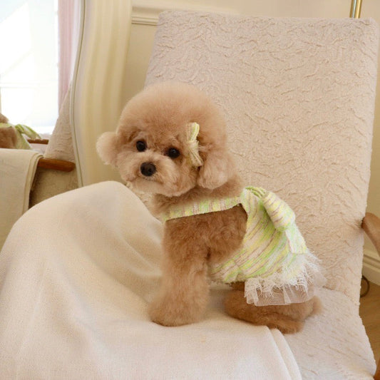 ※予約販売【Hi Yeboo】Twinkle Ribbon Top（Lime）