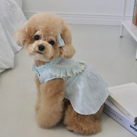 ※予約販売【Hi Yeboo】Ann Blouse (baby blue)