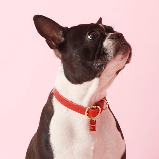 ※予約販売【maison de miu】 Heart Pendant Collar (Red)