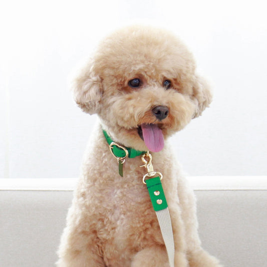※予約販売【maison de miu】 Heart Pendant Collar（Green）