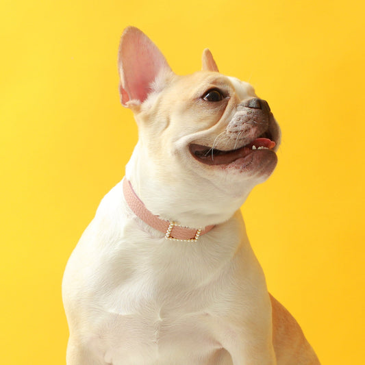 ※予約販売【maison de miu】Square Pearl Collar（Pink）