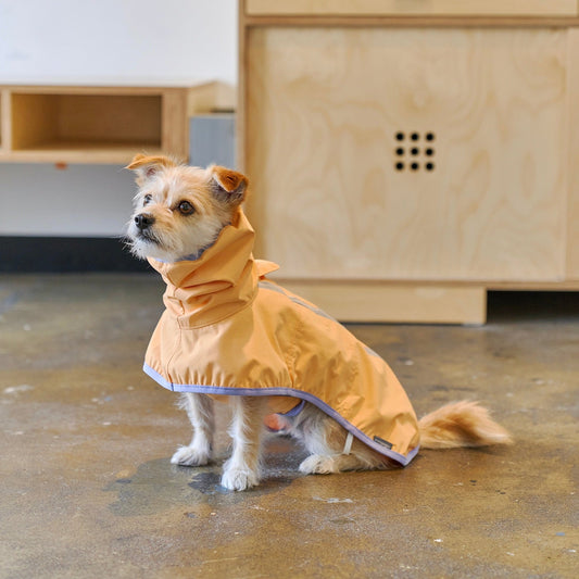 ※予約販売【munikund】Apple Mango Rain Coat