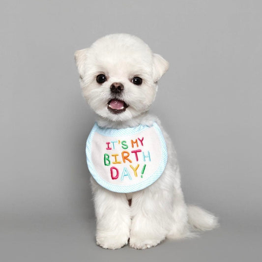 即納【LOVEMORE】IT'S MY BIRTH DAY BIB（Blue）