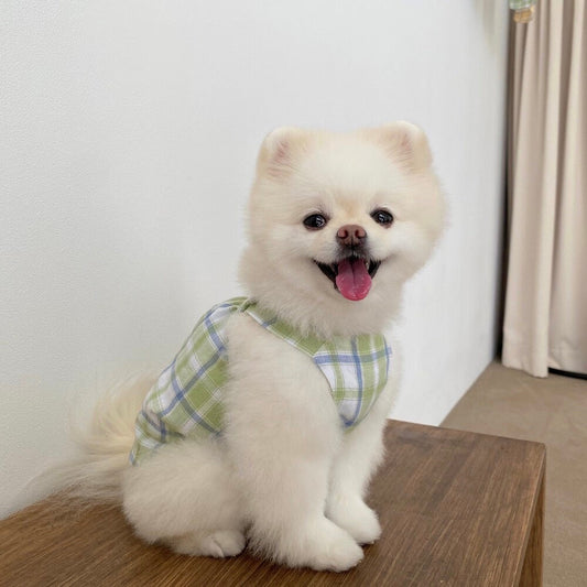 ※予約販売【Bonjour TOU-TOU】My Play tops（Mint）