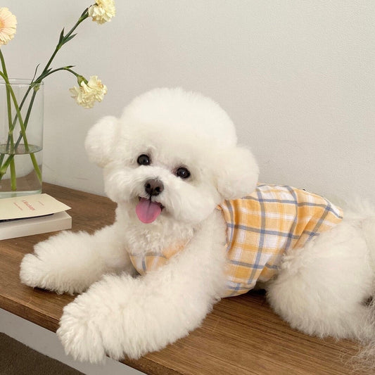 ※予約販売【Bonjour TOU-TOU】My Play tops（Yellow）