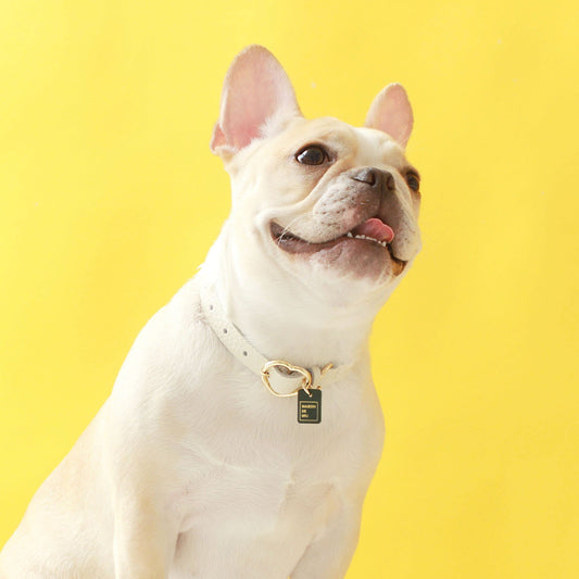 ※予約販売【maison de miu】 Heart Pendant Collar (White)