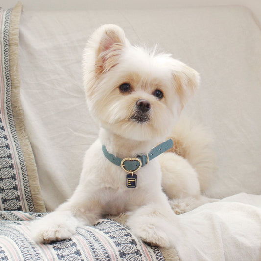 ※予約販売【maison de miu】 Heart Pendant Collar (Indian Blue)