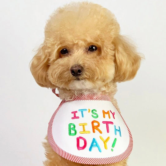 即納【LOVEMORE】IT'S MY BIRTH DAY BIB（Red）