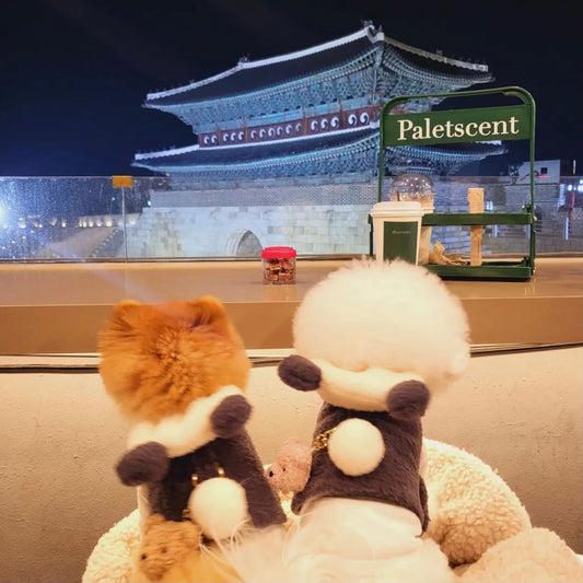 ※予約販売【BeBe Breath】puppy bear harness（Panda）