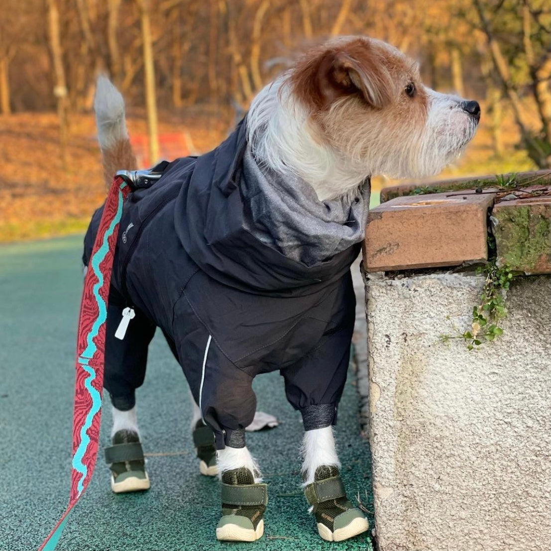 海外犬服 高品質なインポートのドッグウェア通販 URBAN DOG