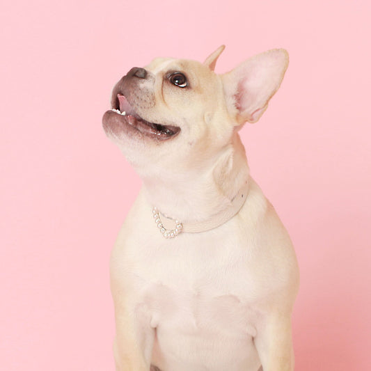 ※予約販売【maison de miu】 Heart Pearl Collar(White)