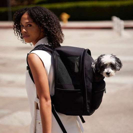 ※予約販売【max bone】Go Everywhere Backpack