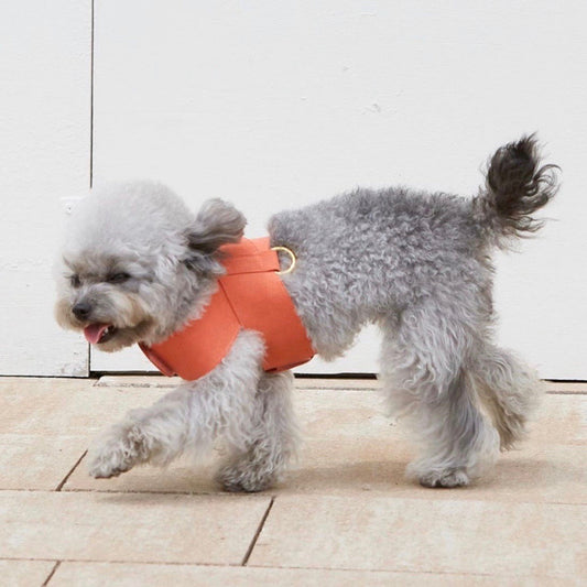 ※予約販売【BANDAL.Pet】ALL DAY NIZI HARNESS & LEAD (SET)（チェリーレッド）