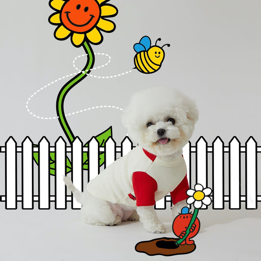 ※予約販売【DA】Mr. Men Little Miss Sweatshirt（Mr. Small）